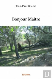 Bonjour Maitre