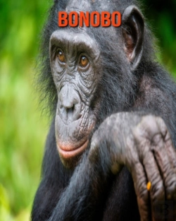 Bertrand.pt - Bonobo