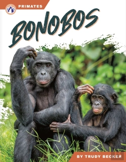 Bertrand.pt - Bonobos