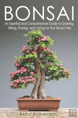 Bertrand.pt - Bonsai