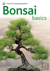 Bonsai Basics
