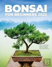 Bonsai For Beginners 2022