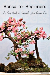 Bonsai For Beginners