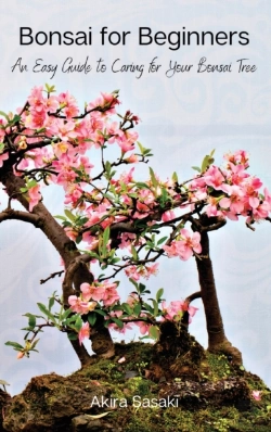 Bertrand.pt - Bonsai For Beginners