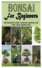 Bonsai For Beginners