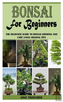 Bertrand.pt - Bonsai For Beginners