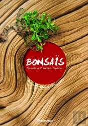 Bonsaï ; Taille, Entretien, Variétés