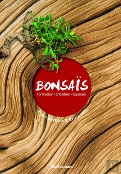 Bertrand.pt - Bonsaï ; Taille, Entretien, Variétés