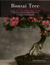 Bonsai Tree