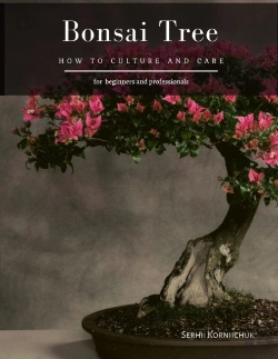 Bertrand.pt - Bonsai Tree