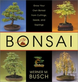 Bertrand.pt - Bonsai