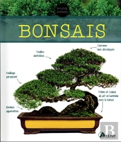 Bonsaïs