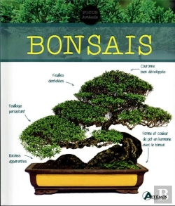 Bertrand.pt - Bonsaïs