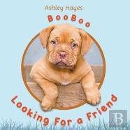 Booboo Looking For A Friend