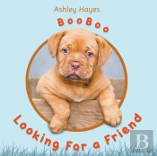 Booboo Looking For A Friend