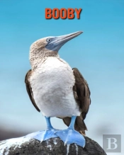 Booby