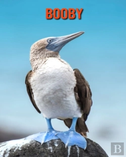 Bertrand.pt - Booby