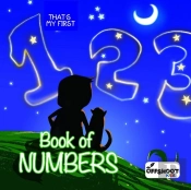 Book Of Numbers