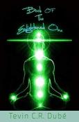 Book Of The Enlightened One