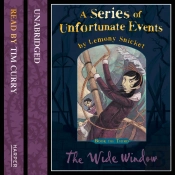 Book The Third - The Wide Window