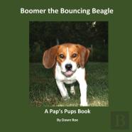 Boomer The Bouncing Beagle