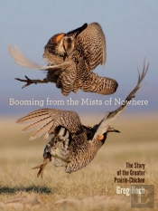 Booming From The Mists Of Nowhere