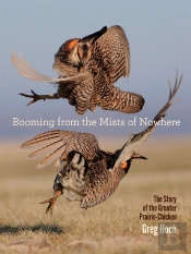 Booming From The Mists Of Nowhere