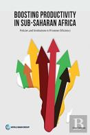 Boosting Productivity In Sub-Saharan Africa