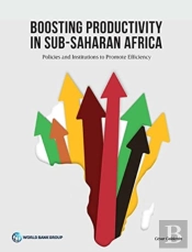 Boosting Productivity In Sub-Saharan Africa