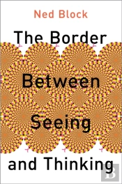 Border Between Seeing And Thinking