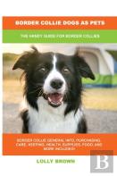 Border Collie Dogs As Pets