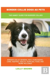 Border Collie Dogs As Pets