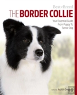 Bertrand.pt - Border Collie