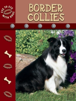Bertrand.pt - Border Collies