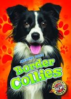 Border Collies