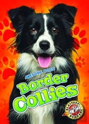 Border Collies
