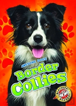 Bertrand.pt - Border Collies