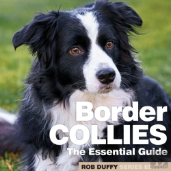 Bertrand.pt - Border Collies