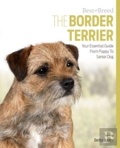 Border Terrier