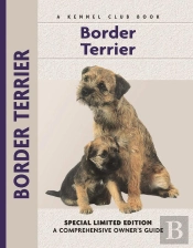 Border Terrier