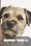 Border Terrier