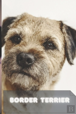 Bertrand.pt - Border Terrier