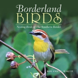 Bertrand.pt - Borderland Birds: Nesting Birds Of The S