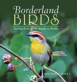 Bertrand.pt - Borderland Birds: Nesting Birds Of The S