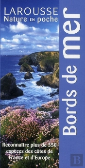 Bords De Mer ; Quoi Ramasser ?