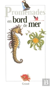 Bords De Mer