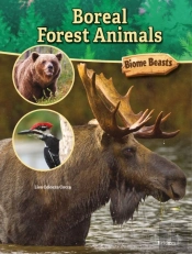 Boreal Forest Animals