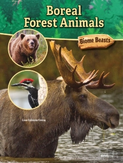 Bertrand.pt - Boreal Forest Animals