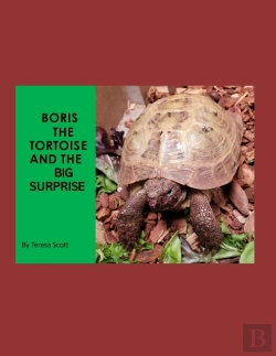 Bertrand.pt - Boris The Tortoise