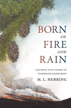 Bertrand.pt - Born Of Fire And Rain